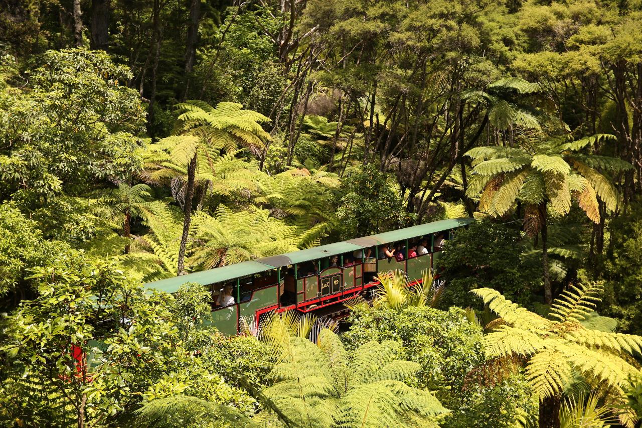 Driving Creek Railway Tours - Photo 1 of 8